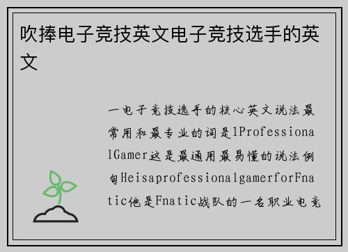 吹捧电子竞技英文电子竞技选手的英文